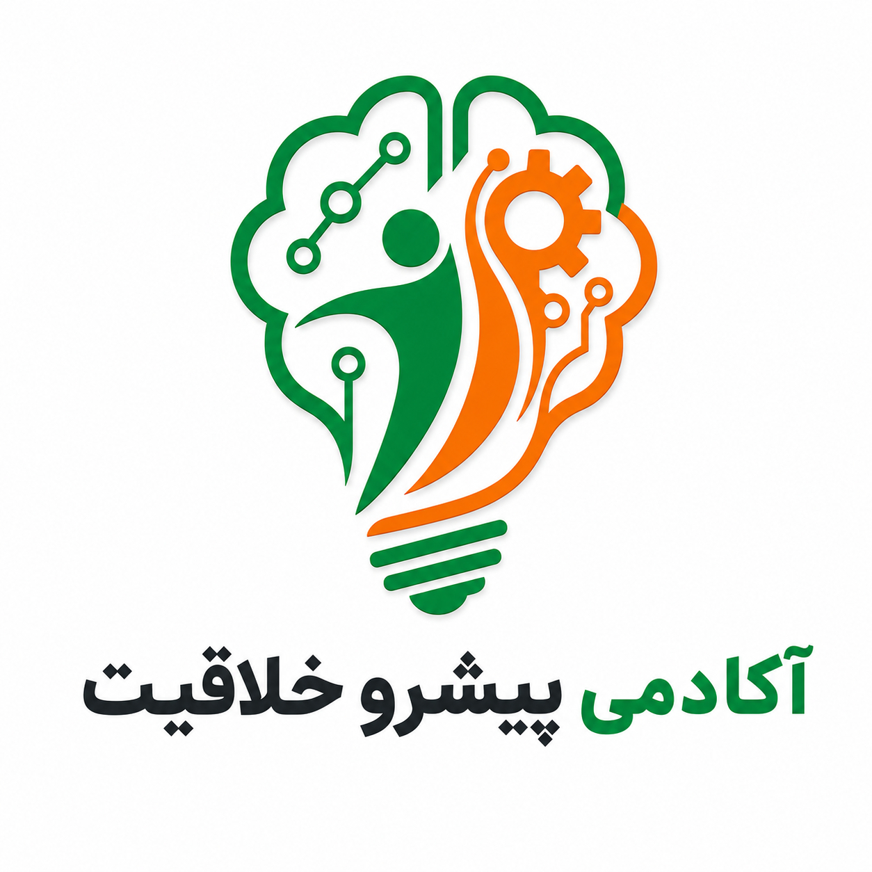 آکادمی ویرا رباتیک